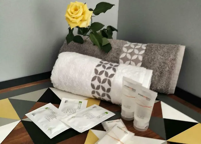 Oasis Anjou 索米尔